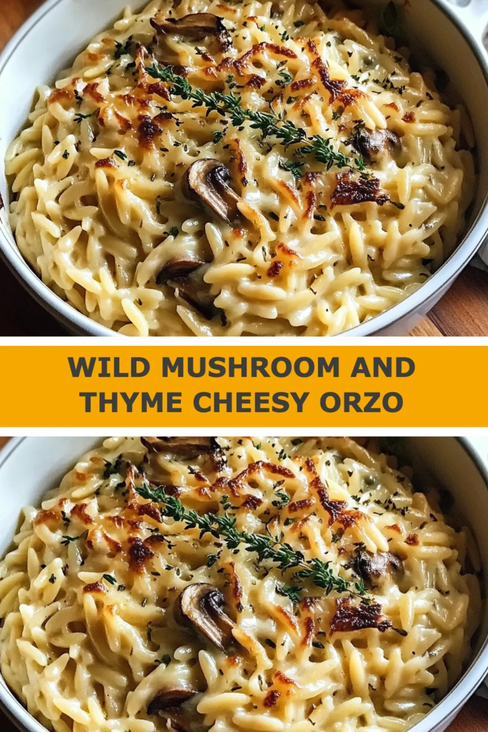 Wild Mushroom and Thyme Cheesy Orzo Recipe